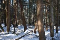 22 Carriage Road Chester, NY 12817