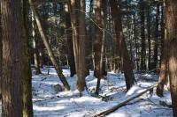 22 Carriage Road Chester, NY 12817