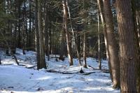 22 Carriage Road Chester, NY 12817