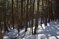 22 Carriage Road Chester, NY 12817