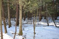 22 Carriage Road Chester, NY 12817