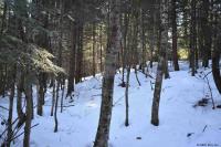 22 Carriage Road Chester, NY 12817