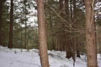 22 Carriage Road Chester, NY 12817