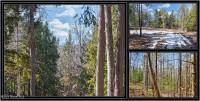 L15 Mountain Meadows Road Horicon, NY 12860