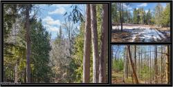 L15 Mountain Meadows Road Horicon, NY 12860