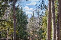L15 Mountain Meadows Road Horicon, NY 12860