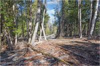 L15 Mountain Meadows Road Horicon, NY 12860