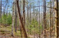 L15 Mountain Meadows Road Horicon, NY 12860