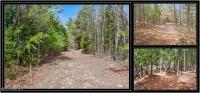 L11 Mountain Meadows Road Horicon, NY 12860
