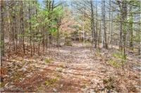 L11 Mountain Meadows Road Horicon, NY 12860
