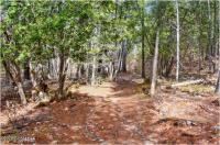 L11 Mountain Meadows Road Horicon, NY 12860