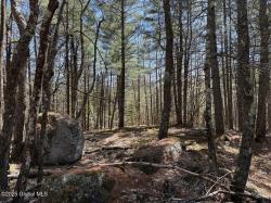 L12.111 Thilo Road Schroon, NY 12870