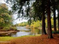25 Schroon River Forest Chester, NY 12817