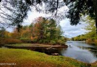 25 Schroon River Forest Chester, NY 12817