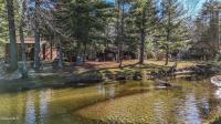 25 Schroon River Forest Chester, NY 12817