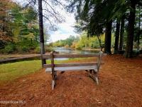 25 Schroon River Forest Chester, NY 12817