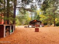 25 Schroon River Forest Chester, NY 12817