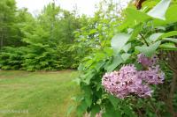 110 Harris Road Horicon, NY 12815