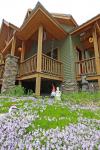 110 Harris Road Horicon, NY 12815