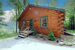 55 Brantwood Heights Road Horicon, NY 12815