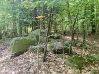L64 River Road Johnsburg, NY 12862