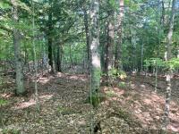 L64 River Road Johnsburg, NY 12862