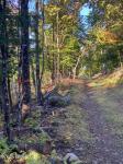 L64 River Road Johnsburg, NY 12862