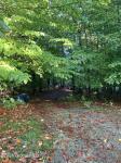 L64 River Road Johnsburg, NY 12862