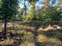 L64 River Road Johnsburg, NY 12862