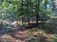 L64 River Road Johnsburg, NY 12862