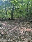 L64 River Road Johnsburg, NY 12862