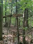 L64 River Road Johnsburg, NY 12862