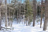 L9 Byrd Pond Road Chester, NY 12817