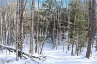 L9 Byrd Pond Road Chester, NY 12817