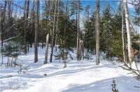 L9 Byrd Pond Road Chester, NY 12817