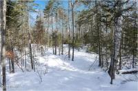 L9 Byrd Pond Road Chester, NY 12817