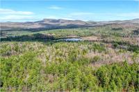 L9 Byrd Pond Road Chester, NY 12817