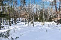 L9 Byrd Pond Road Chester, NY 12817