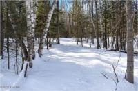 L9 Byrd Pond Road Chester, NY 12817