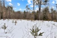 L88 Highview Lane Lot 4 Johnsburg, NY 12886