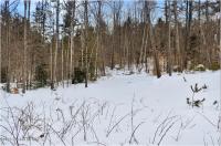 L88 Highview Lane Lot 4 Johnsburg, NY 12886