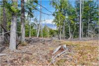 L18 Mountain Meadows Road Horicon, NY 12808