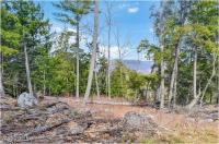 L18 Mountain Meadows Road Horicon, NY 12808