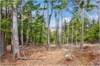 L18 Mountain Meadows Road Horicon, NY 12808