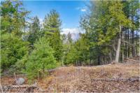 L18 Mountain Meadows Road Horicon, NY 12808