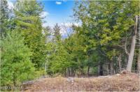 L18 Mountain Meadows Road Horicon, NY 12808