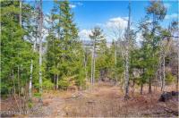 L18 Mountain Meadows Road Horicon, NY 12808