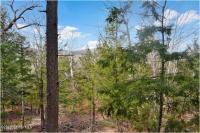 L18 Mountain Meadows Road Horicon, NY 12808