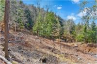 L18 Mountain Meadows Road Horicon, NY 12808