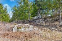 L18 Mountain Meadows Road Horicon, NY 12808
